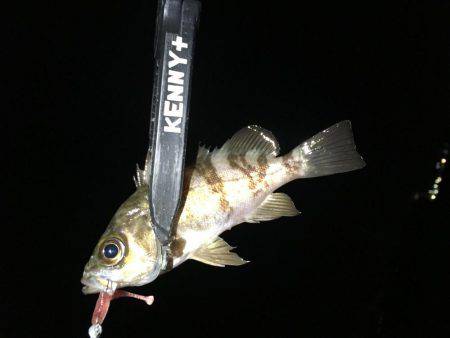 確実に鈍っている！