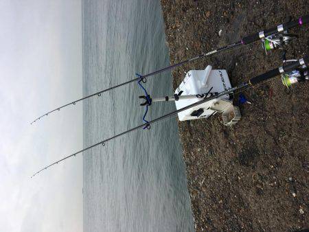 探りましたが‥