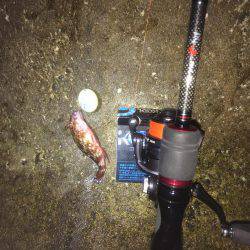 メバリングのはずが