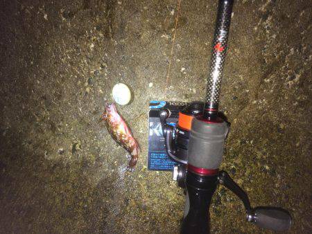 メバリングのはずが