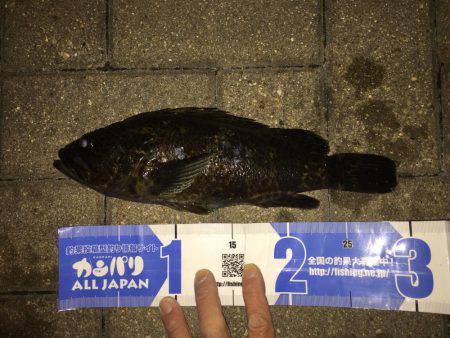 尺タケノコメバル