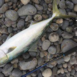 ショアジギング