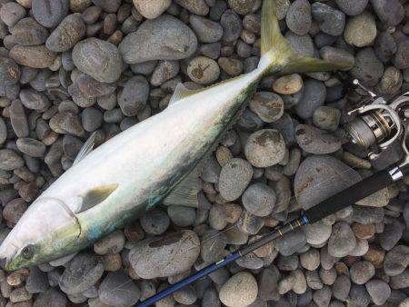 ショアジギング