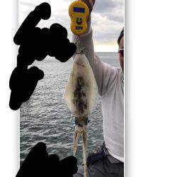 年初めのアオリ調査