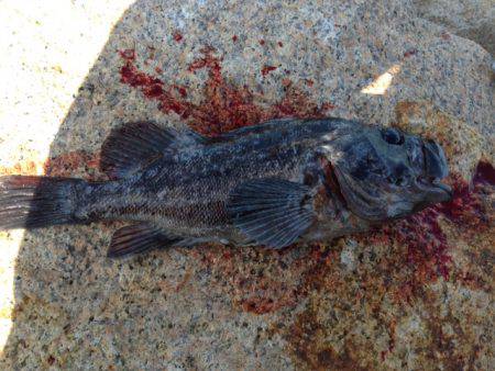 紀の川河口！熱かった！