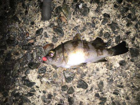 数は出たものの型がのびず