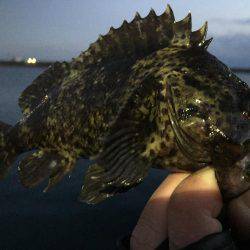 遠征！メバル調査(^.^)