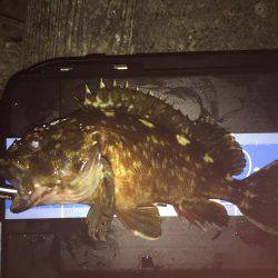 ナイスサイズ(^.^)