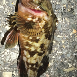 渋いなぁ〜(>_<)