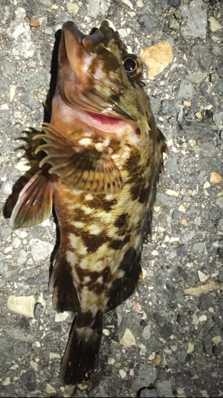 渋いなぁ〜(>_<)