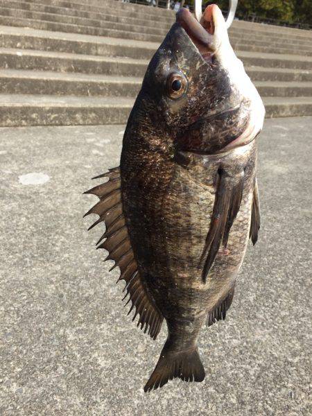 雪の降る中、フカセ釣り