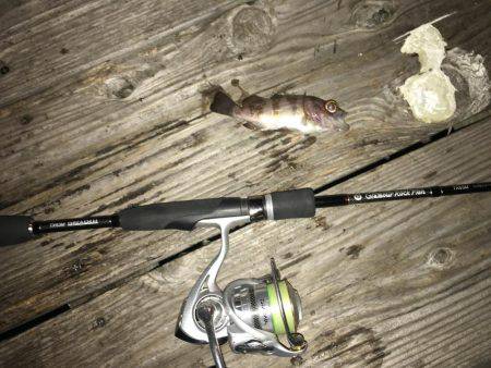 ライトゲーム（Fシステム）