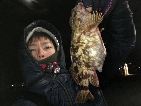 大寒波、暴風でもライトゲーム