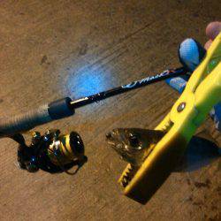 アジングで色々