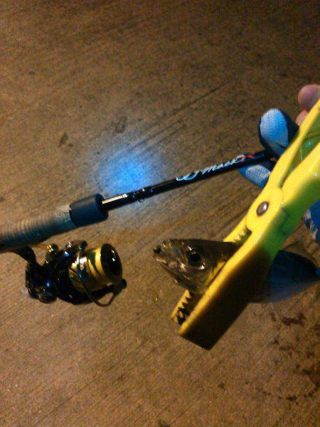 アジングで色々