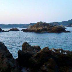 太地でグレ釣り