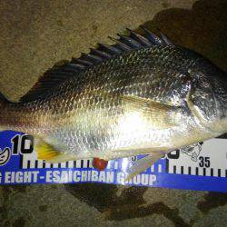 釣り始めもイイ感じ〜!