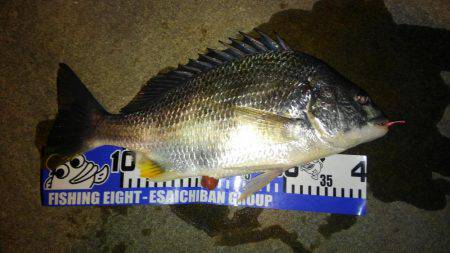 釣り始めもイイ感じ〜!