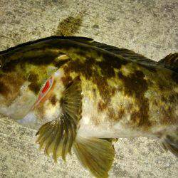 湾奥ロックゲーム！