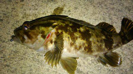 湾奥ロックゲーム！