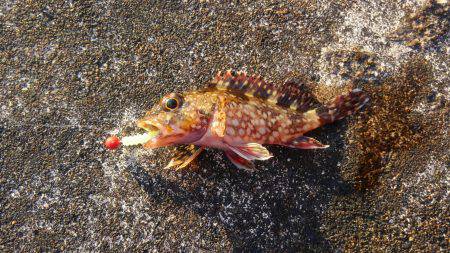 ミップル様周辺にて(笑)。