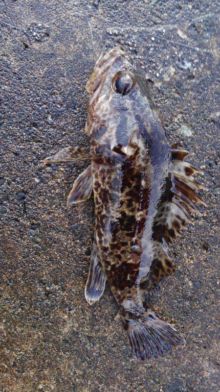 ミップル様周辺にて(笑)。