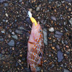 ミップル様周辺にて(笑)。