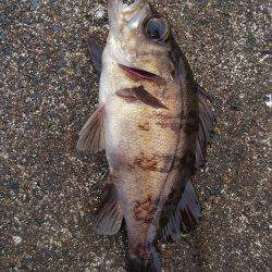 ミップル様周辺にて(笑)。