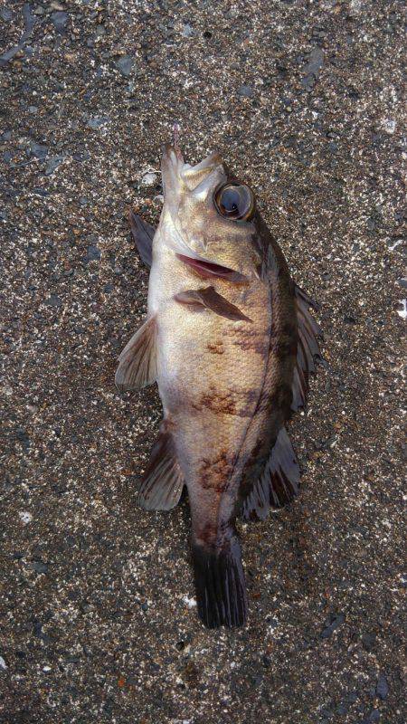 ミップル様周辺にて(笑)。