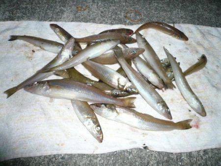 初釣行でダブル、トリプルと最高の釣果でした…