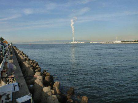 エビ撒き チヌ・ハネ好釣!!