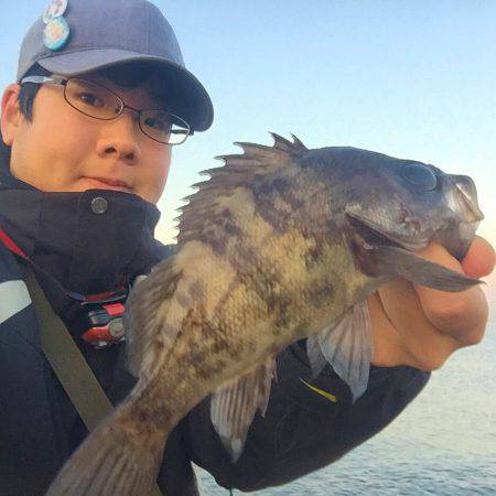 朝のメバリング！