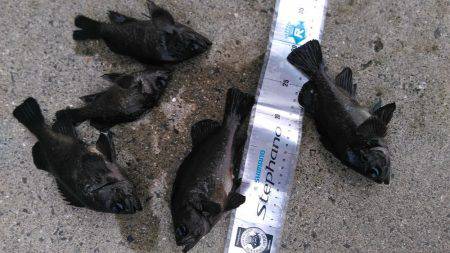 アミパターン攻略