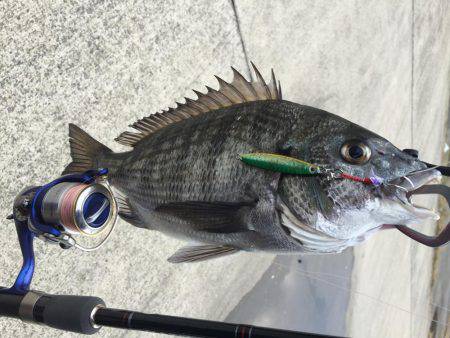 おまえじゃない