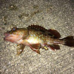 この寒さには勝てません！