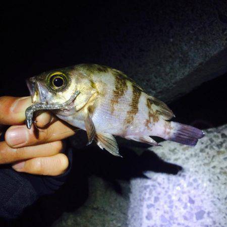 フロートリグで