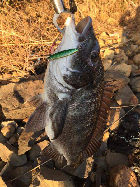 ライトショアスロー