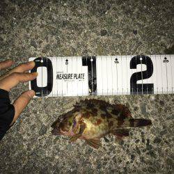 メバルランガン！