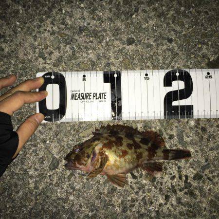 メバルランガン！