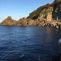 ヤリイカエギング