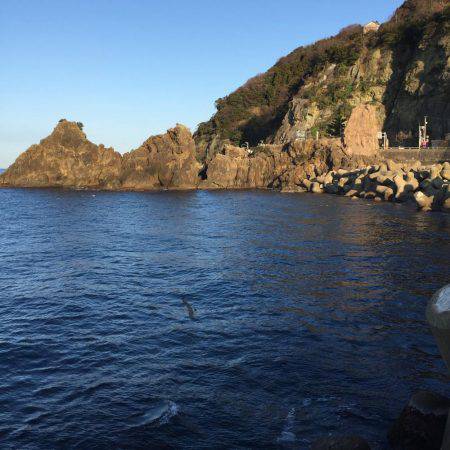 ヤリイカエギング