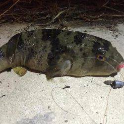 寒さは緩みましたが…