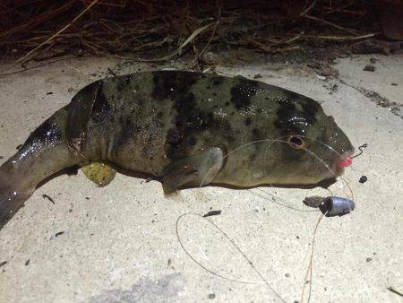 寒さは緩みましたが…