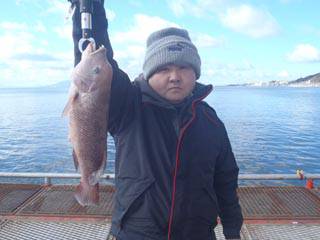 コブダイ 	40cm 	1尾