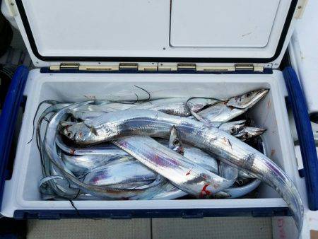 遊漁船　ニライカナイ 釣果