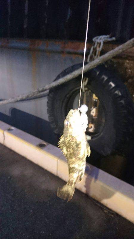 初釣りボーズ翌日タケノコ