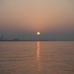 まだまだタチウオ釣れます！