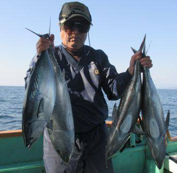 ヨコ釣り　浜田釣舟