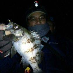 友人とメバリング&アジング