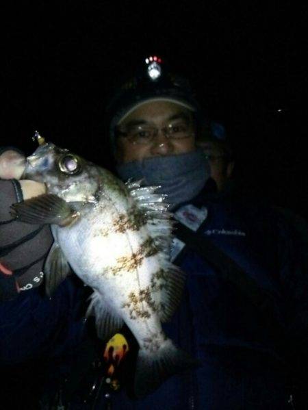 友人とメバリング&アジング